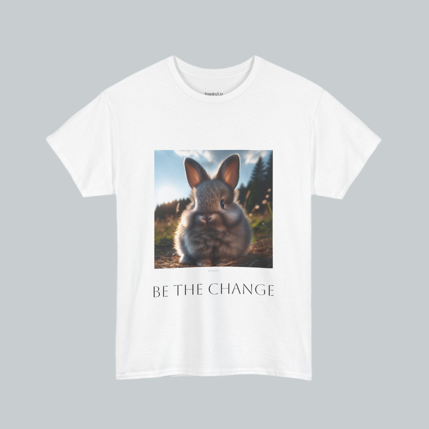 Gray bunny be the change