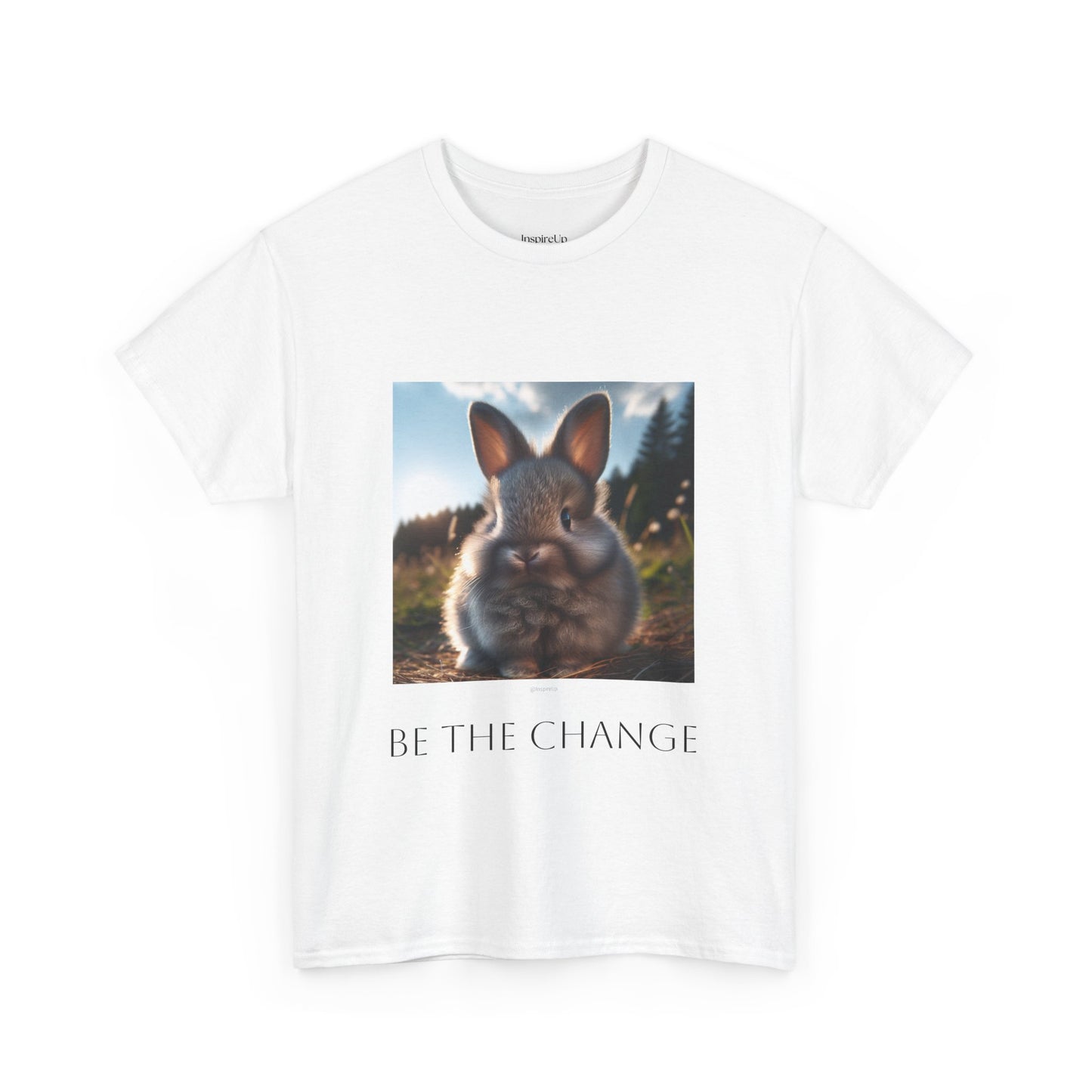 Gray bunny be the change